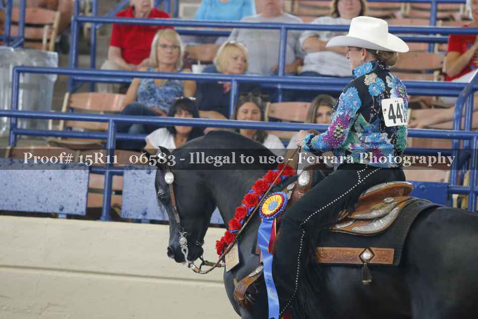 Proof Number 15R11_06583