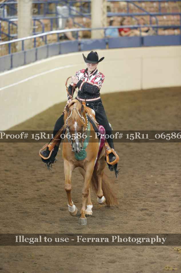 Proof Number 15R11_06586