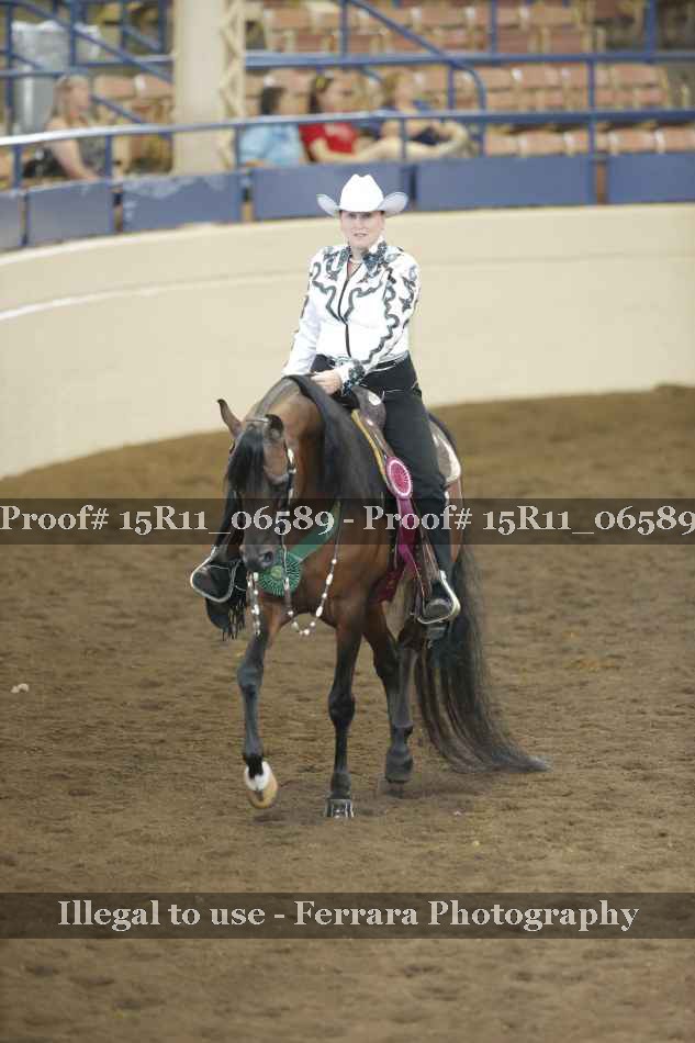 Proof Number 15R11_06589