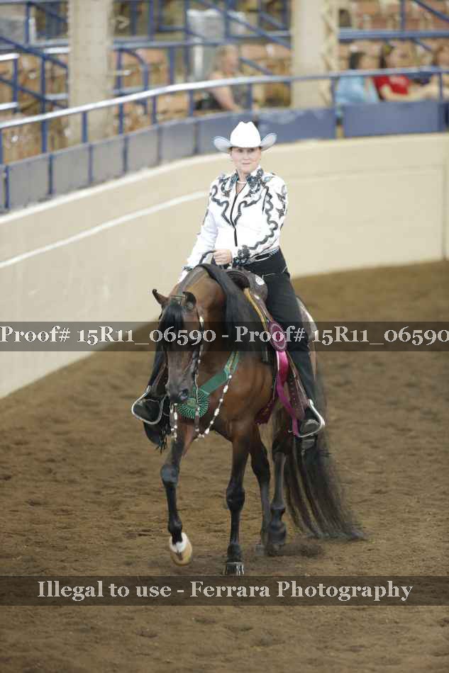 Proof Number 15R11_06590