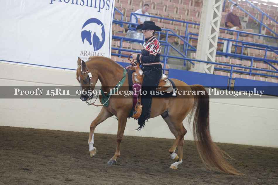 Proof Number 15R11_06591