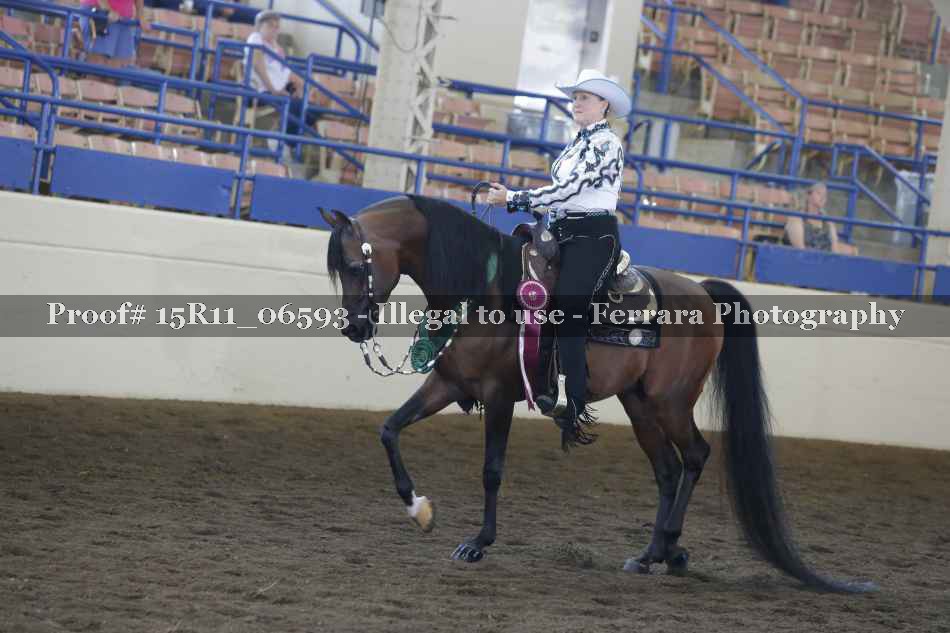 Proof Number 15R11_06593