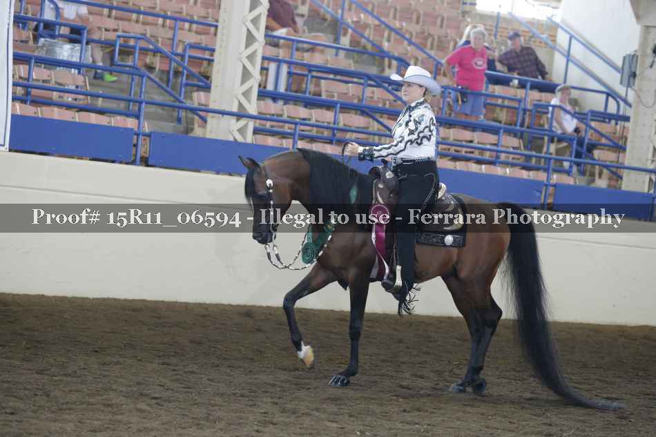 Proof Number 15R11_06594