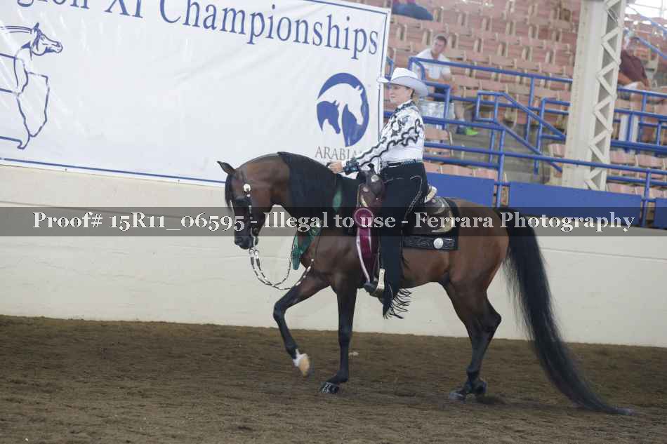 Proof Number 15R11_06595