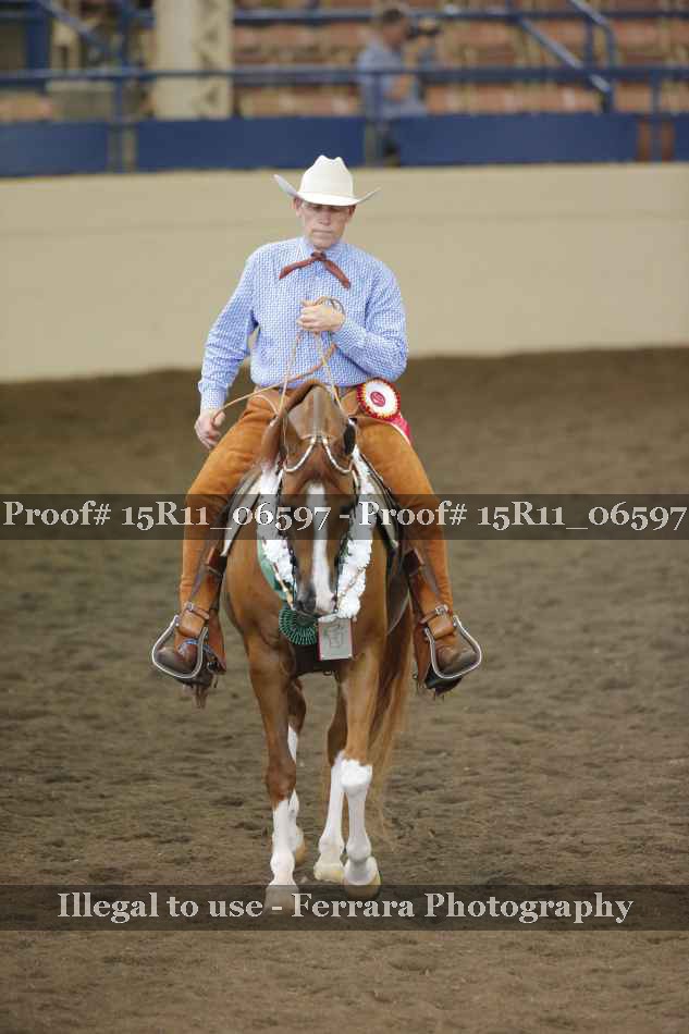 Proof Number 15R11_06597