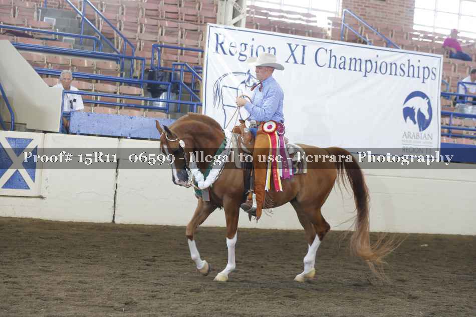 Proof Number 15R11_06599