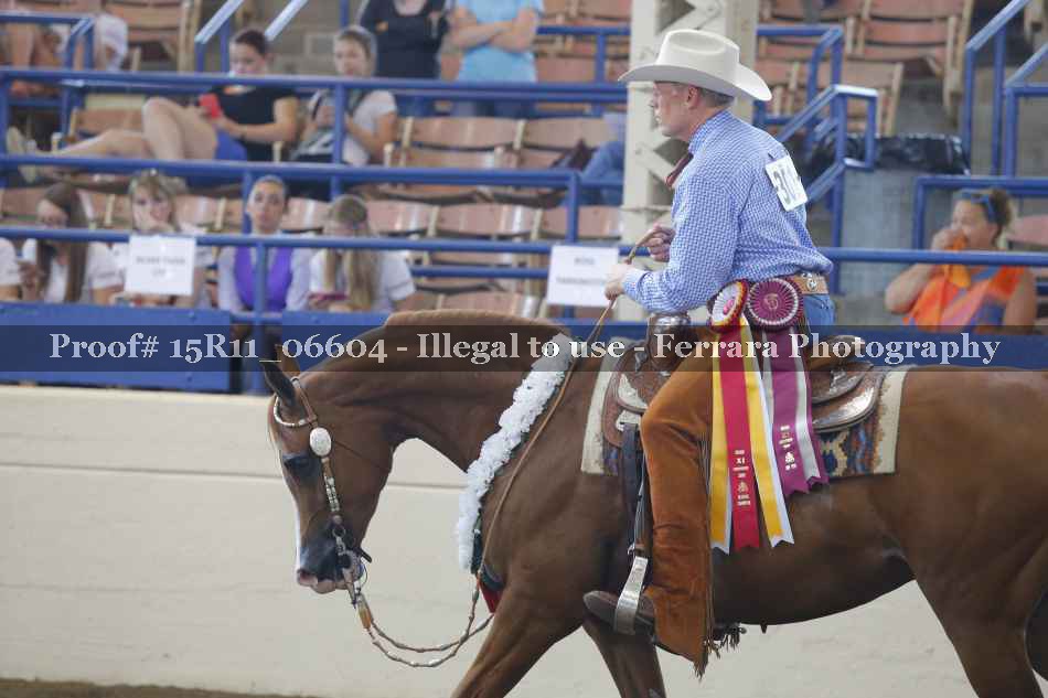 Proof Number 15R11_06604