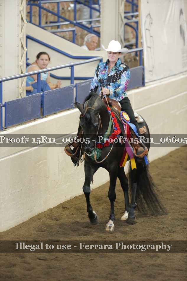 Proof Number 15R11_06605