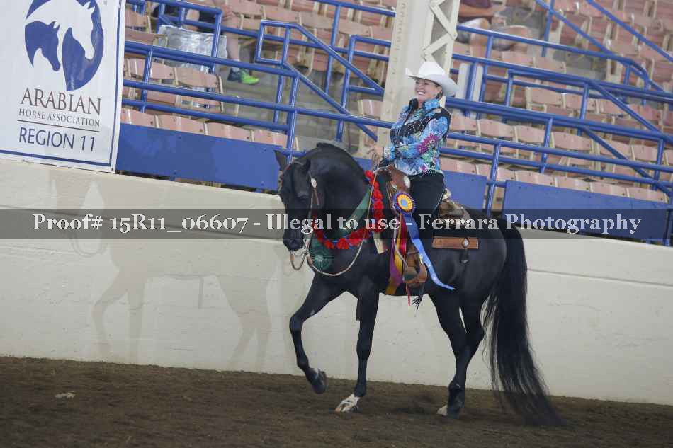 Proof Number 15R11_06607