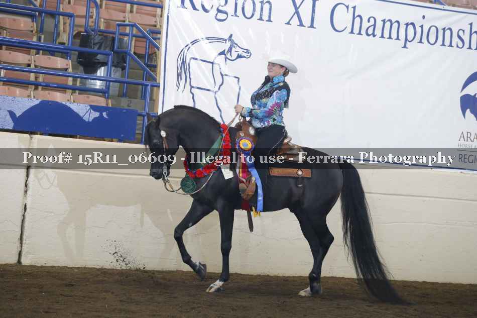 Proof Number 15R11_06609