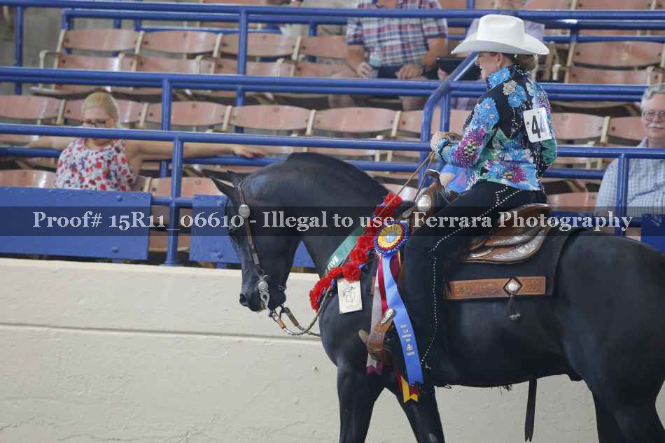 Proof Number 15R11_06610