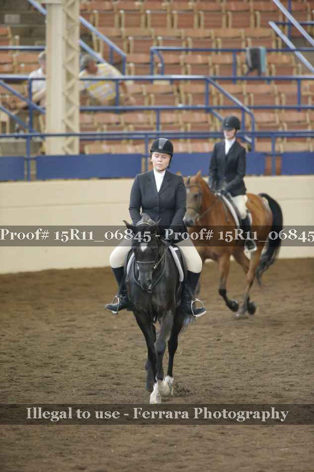 Proof Number 15R11_06845