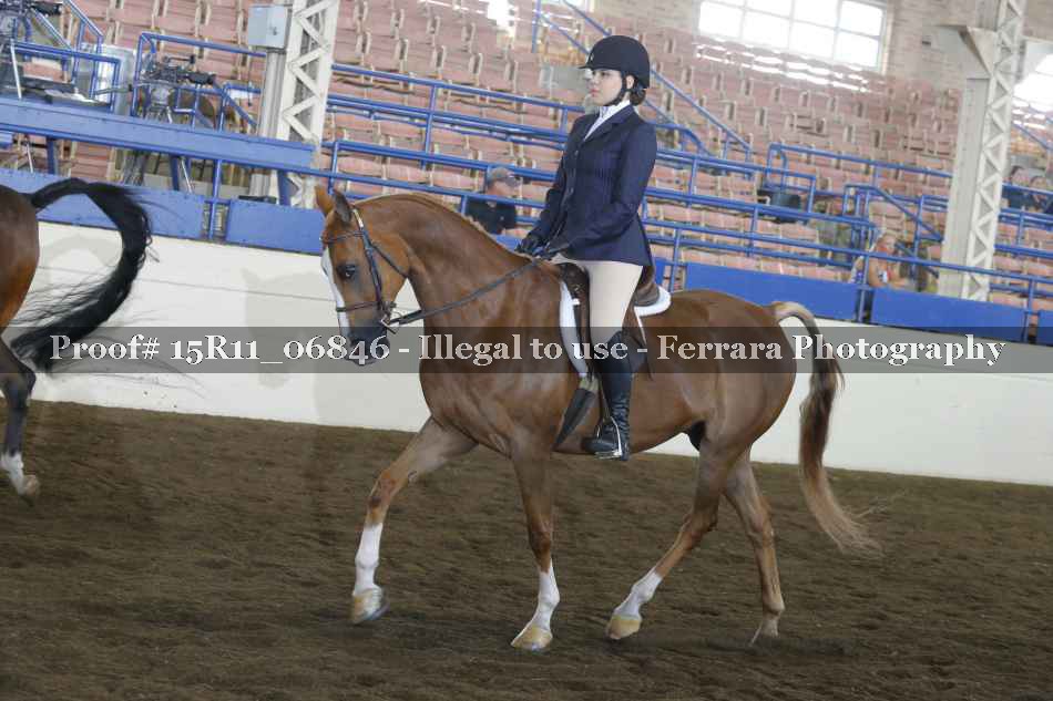 Proof Number 15R11_06846