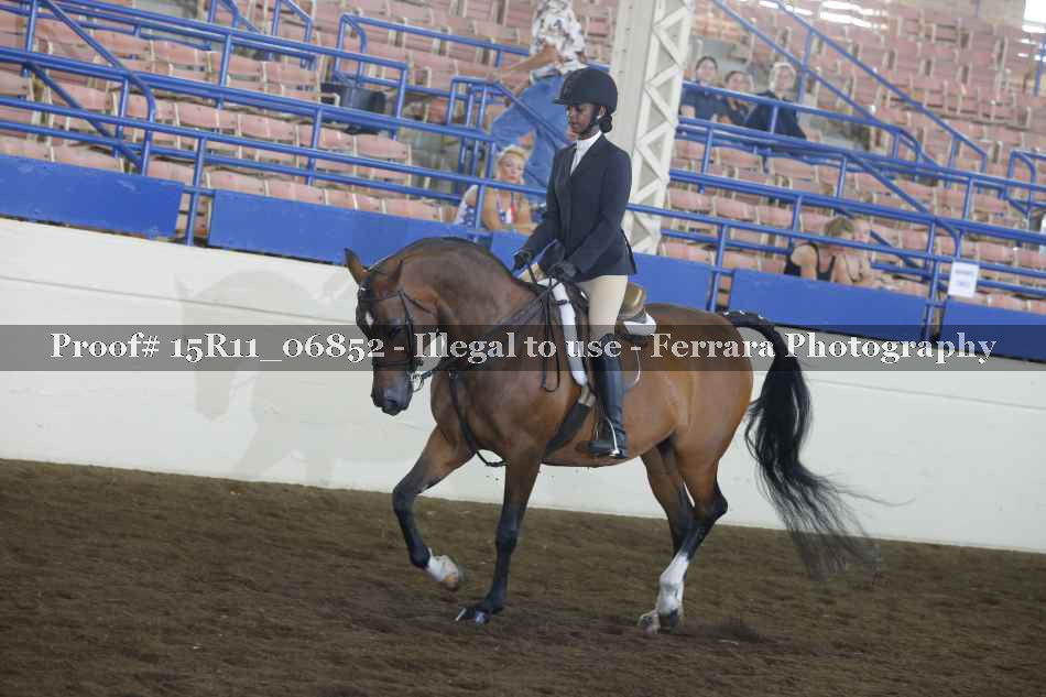 Proof Number 15R11_06852