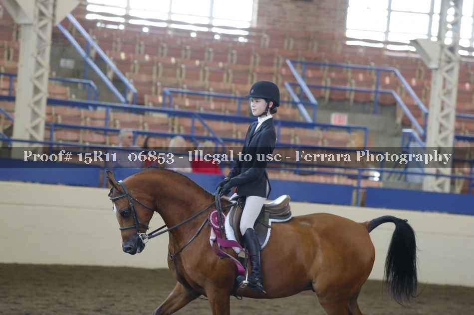 Proof Number 15R11_06853