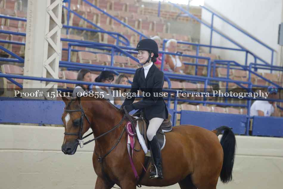 Proof Number 15R11_06855