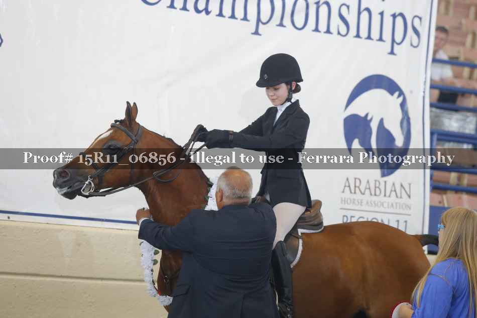 Proof Number 15R11_06856
