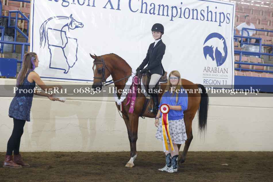 Proof Number 15R11_06858