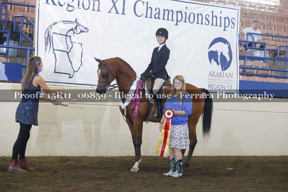 Proof Number 15R11_06859