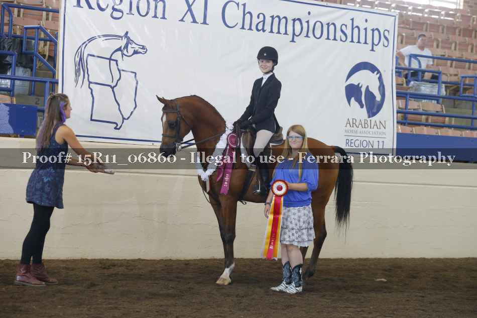 Proof Number 15R11_06860