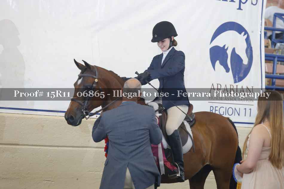 Proof Number 15R11_06865