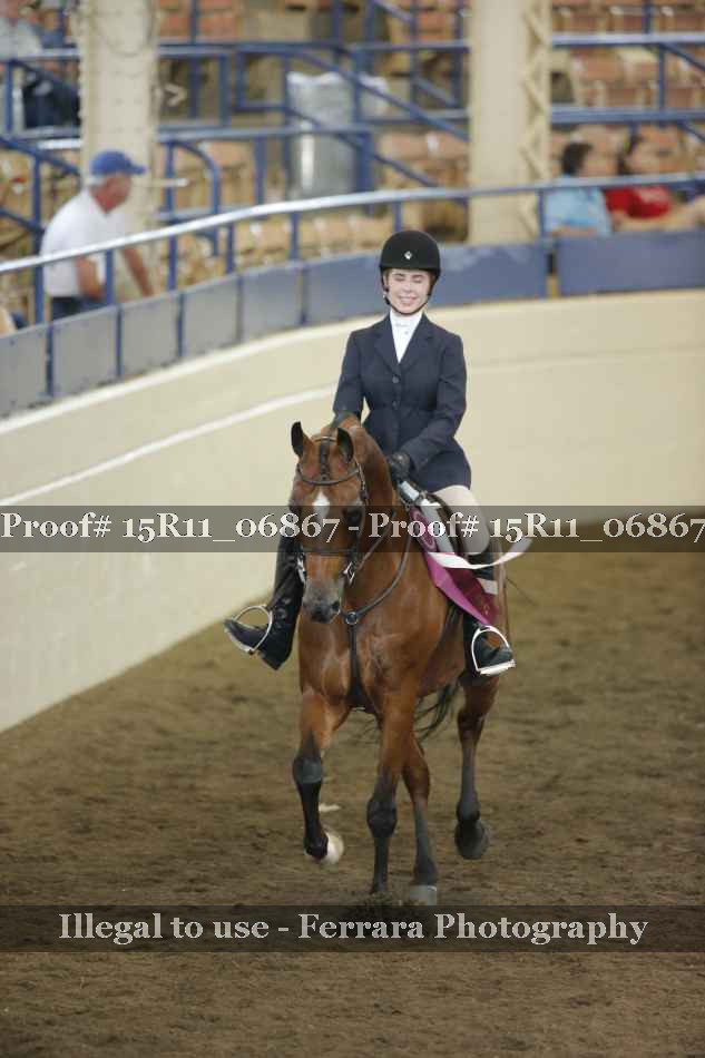 Proof Number 15R11_06867