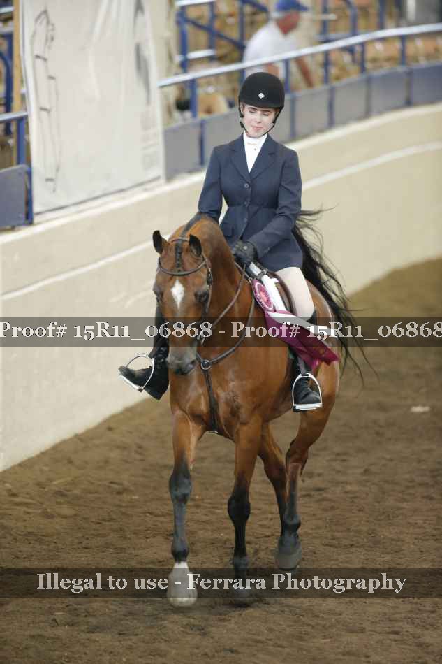 Proof Number 15R11_06868