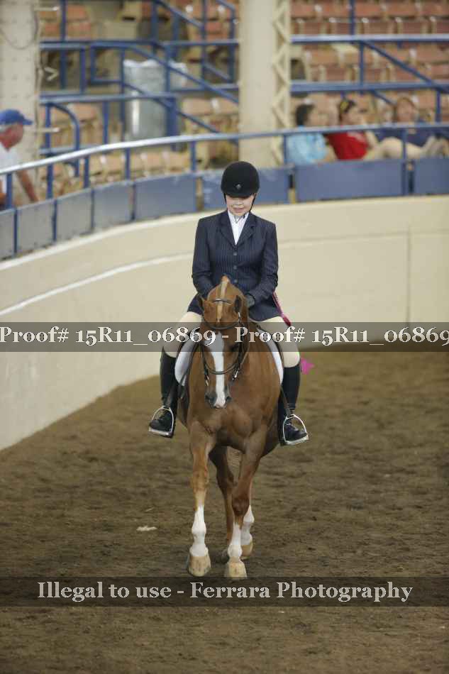 Proof Number 15R11_06869