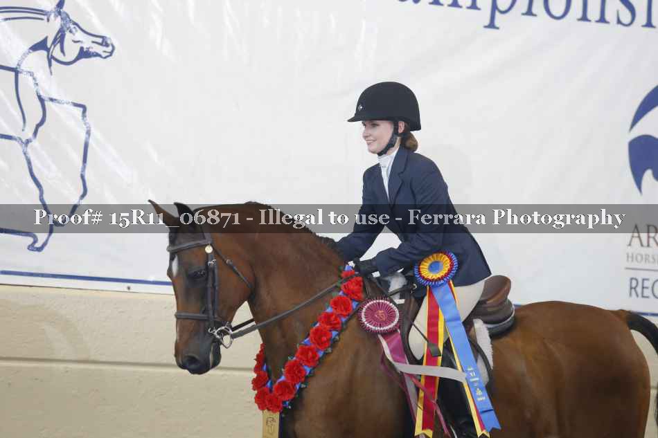 Proof Number 15R11_06871