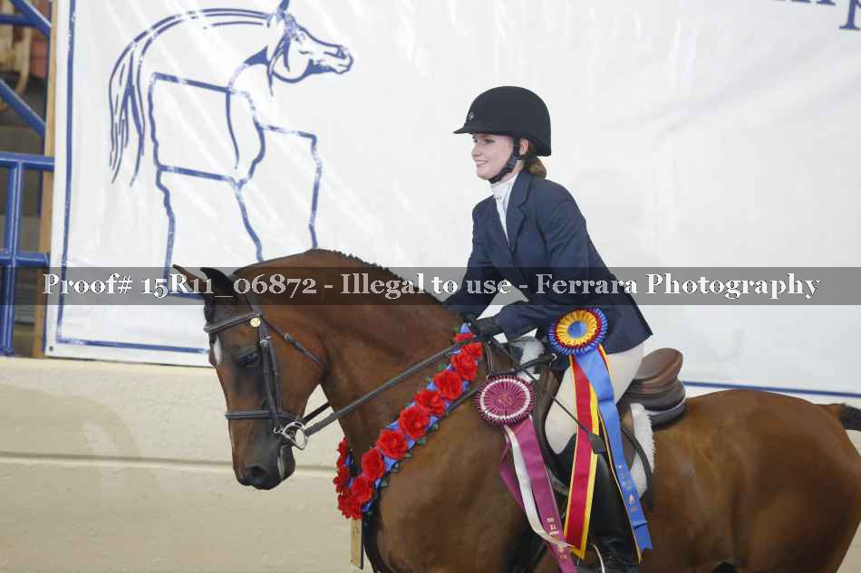 Proof Number 15R11_06872