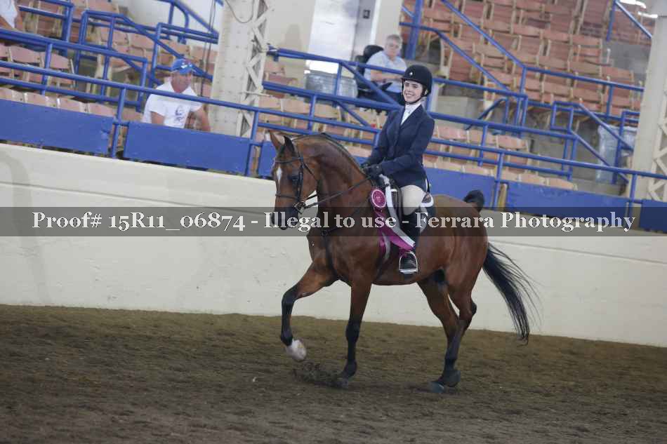 Proof Number 15R11_06874