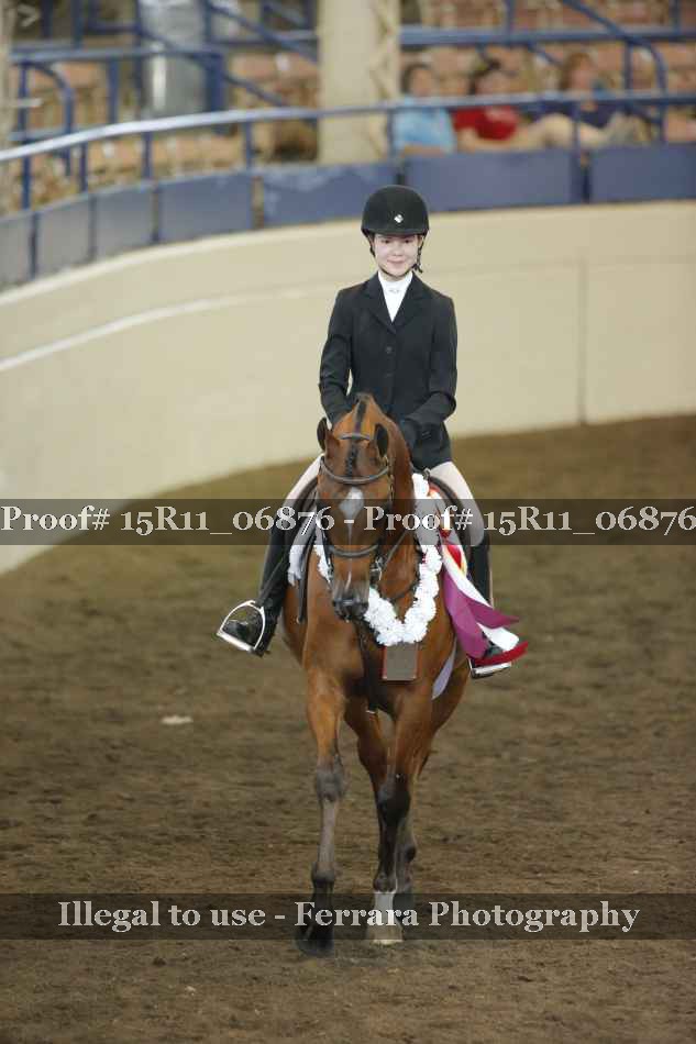 Proof Number 15R11_06876