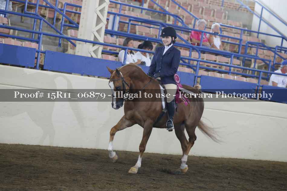 Proof Number 15R11_06879