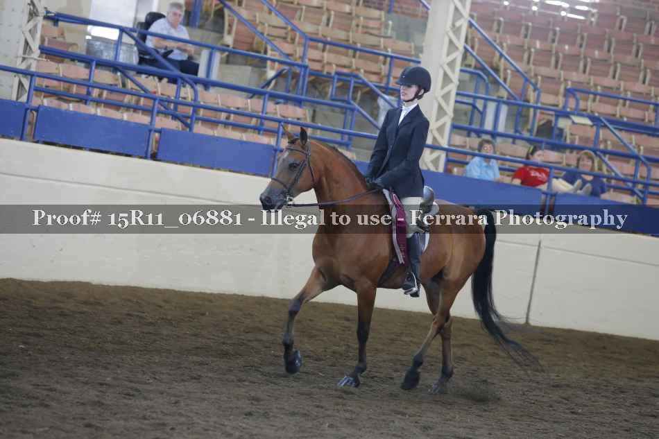 Proof Number 15R11_06881