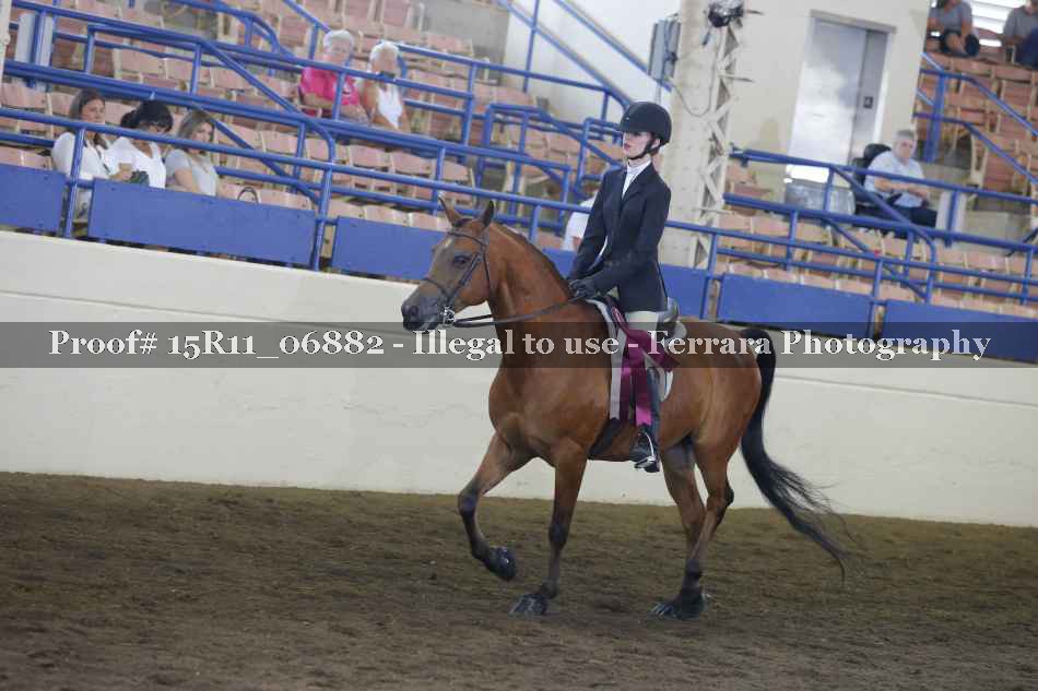 Proof Number 15R11_06882