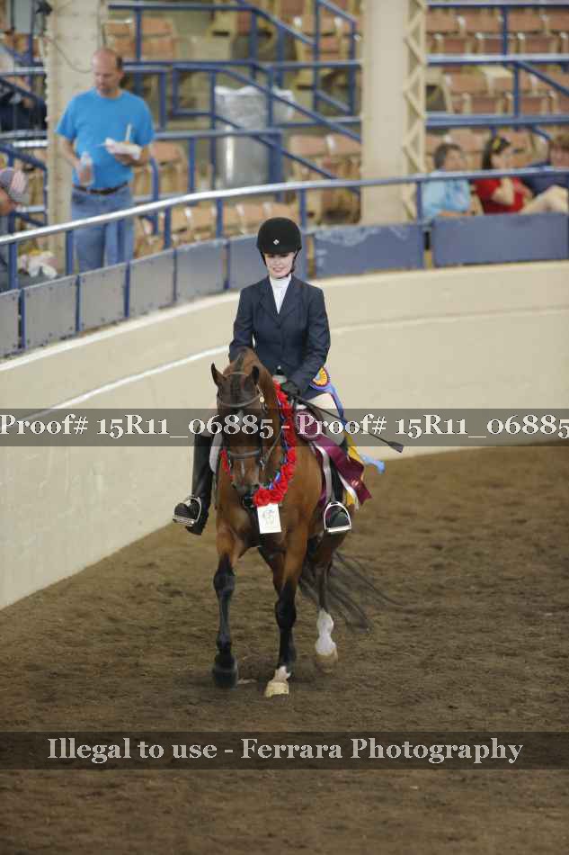 Proof Number 15R11_06885