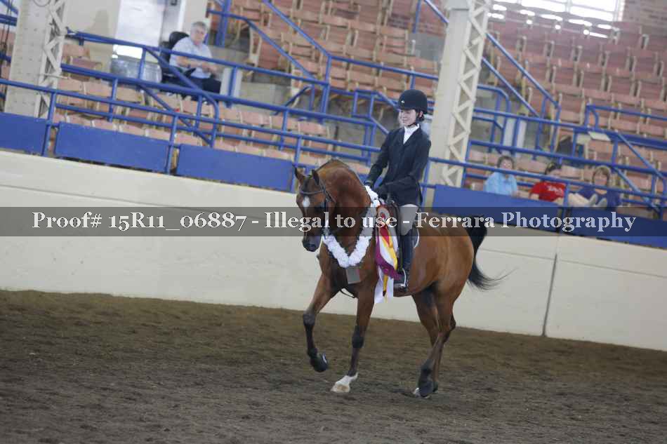 Proof Number 15R11_06887
