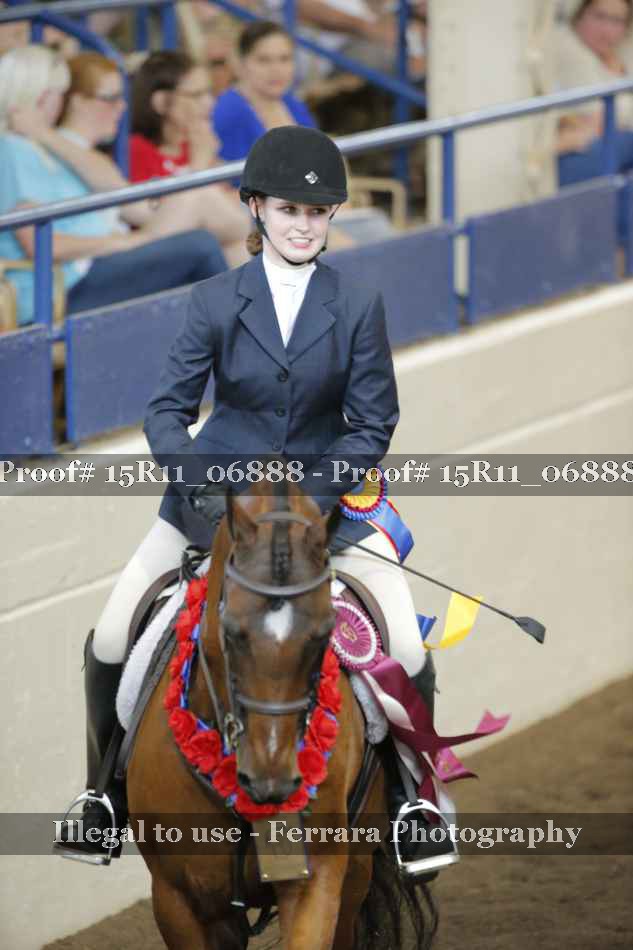 Proof Number 15R11_06888