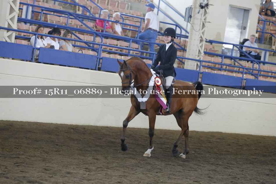 Proof Number 15R11_06889