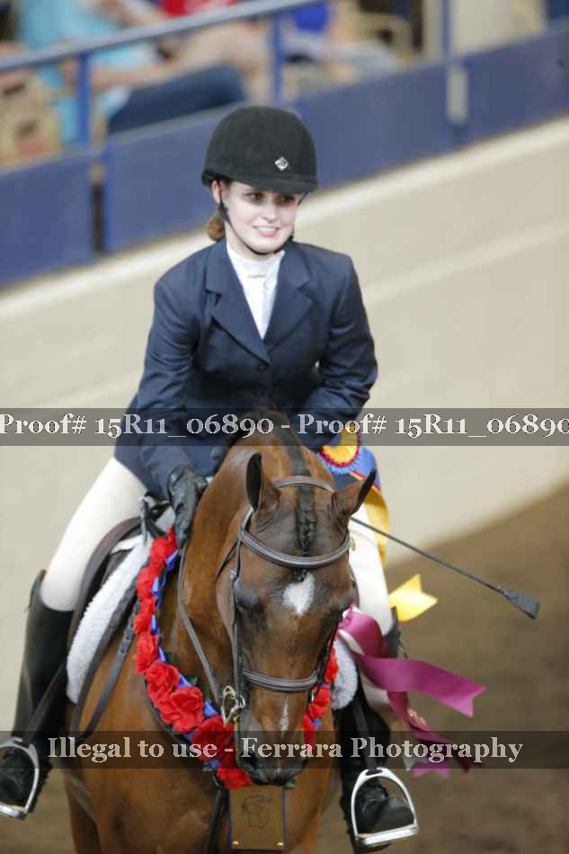 Proof Number 15R11_06890