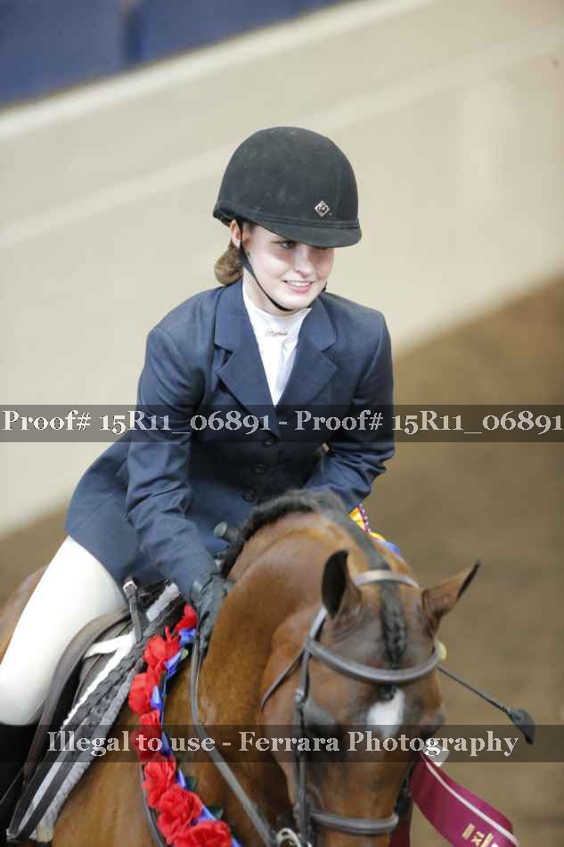 Proof Number 15R11_06891