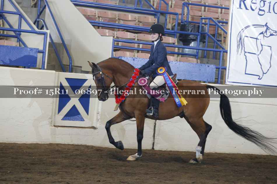 Proof Number 15R11_06897