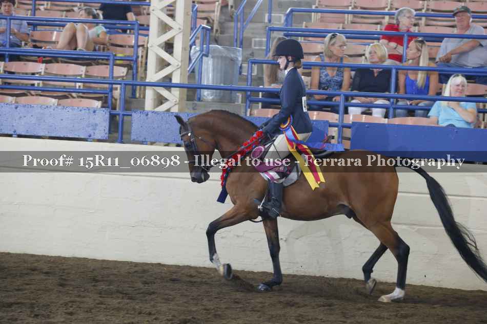 Proof Number 15R11_06898