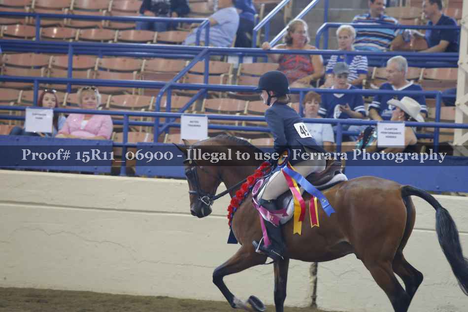 Proof Number 15R11_06900