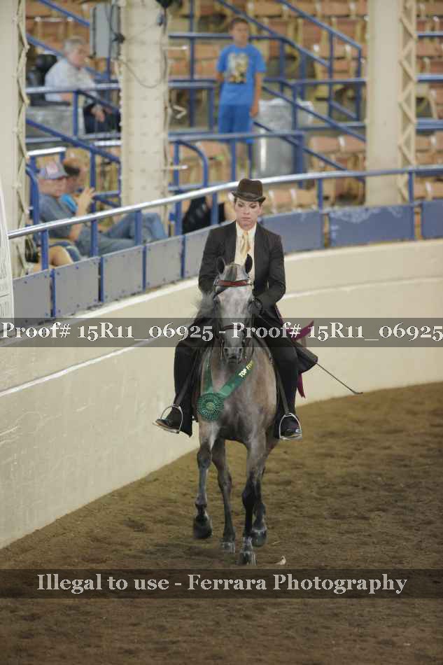 Proof Number 15R11_06925