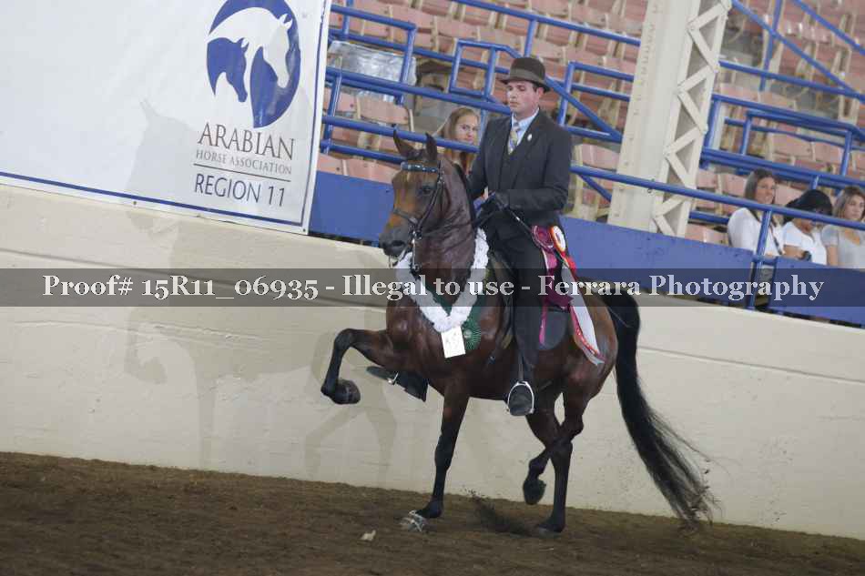Proof Number 15R11_06935