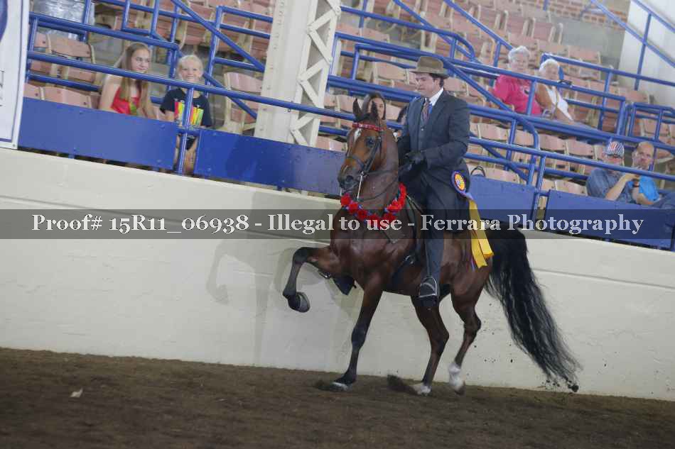 Proof Number 15R11_06938