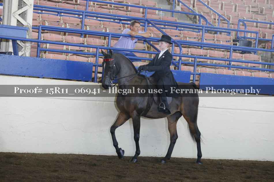 Proof Number 15R11_06941