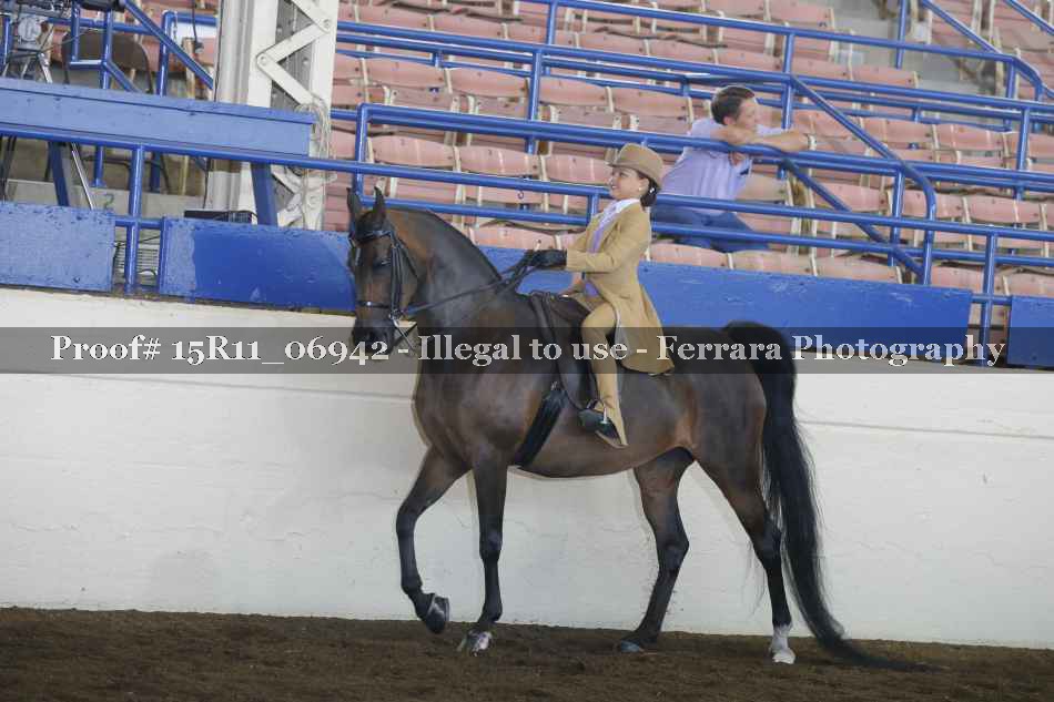 Proof Number 15R11_06942