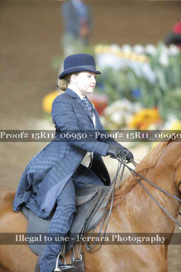 Proof Number 15R11_06950